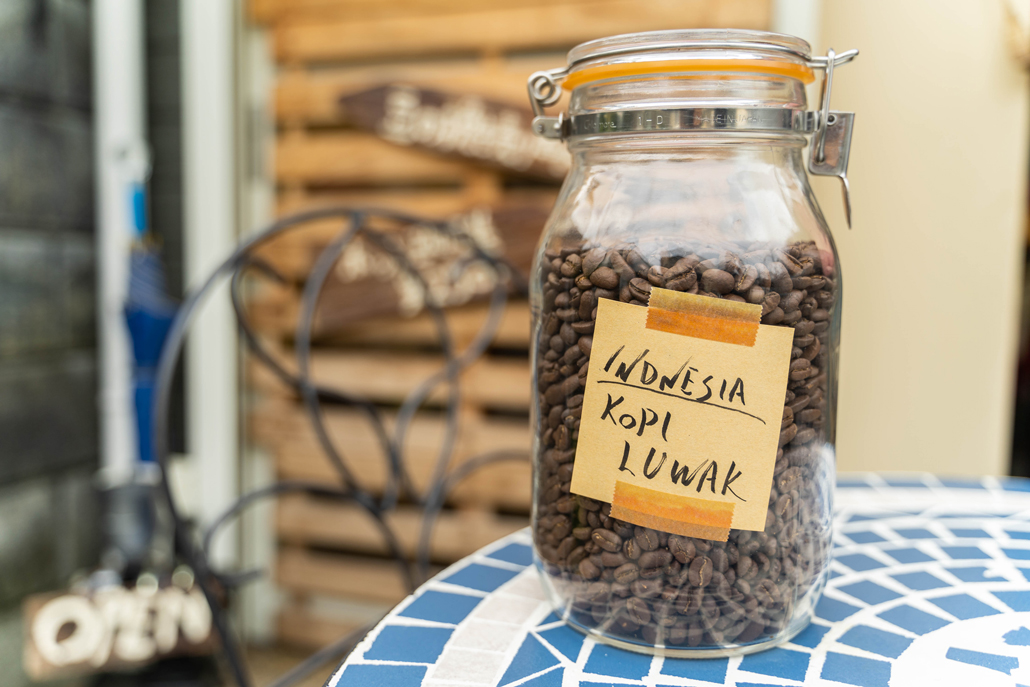 大注目】 Kopi Luwak 最高級ジャコウネココーヒー 証明書付:のオシャレ 
