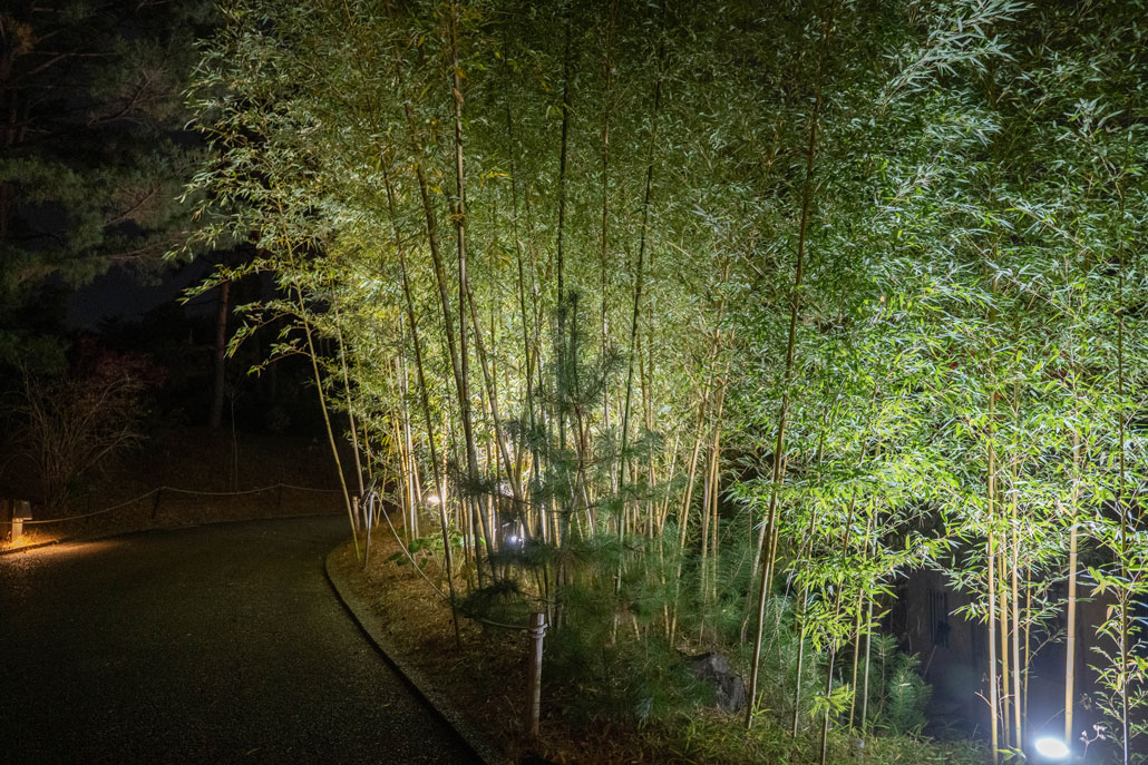 「宇治市植物公園　2020年 紅葉のライトアップ」の画像２
