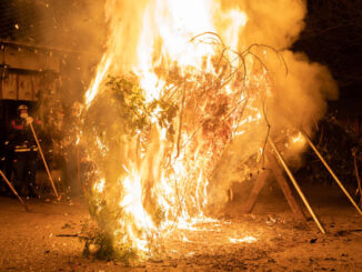 燃える松明の画像