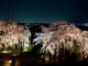 桜と夜景の画像