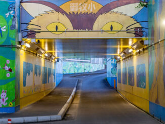 ネコバストンネルの画像