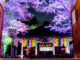 「神童寺 春のライトアップ」の画像１