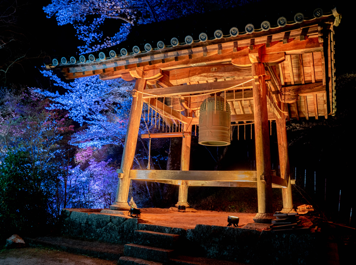「神童寺 春のライトアップ」鐘の画像