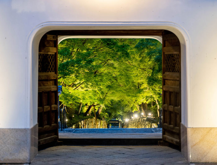 興聖寺の門から見える青もみじライトアップの画像２