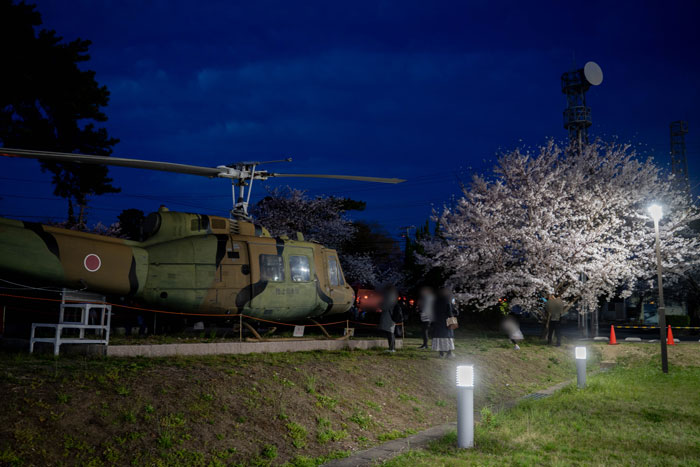 「宇治駐屯地桜まつり」 夜桜とヘリコプターの画像