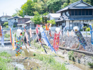 京田辺市の鯉のぼり画像