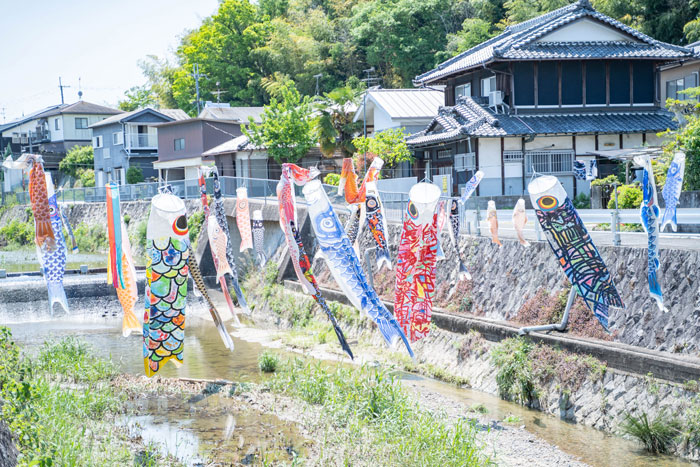 京田辺市の鯉のぼり画像