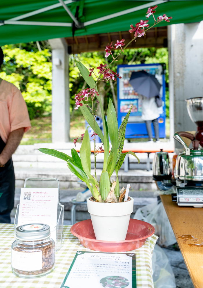 「ジャパンコーヒー フェスティバル２０２２ in 宇治市植物公園」のイベントの様子画像１