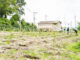 「城陽ワイナリー計画」植樹後の畑の画像