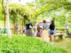 「ジャパンコーヒー フェスティバル２０２２ in 宇治市植物公園」の画像