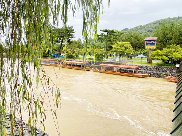 豪雨で増水した宇治川の画像２