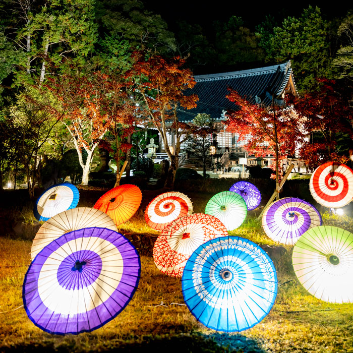 大御堂観音寺ライトアップの和傘の画像
