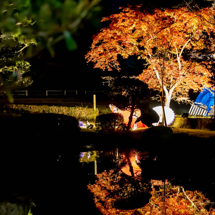 「大御堂観音寺ライトアップ」別の角度から撮影した水面のリフレクションの画像