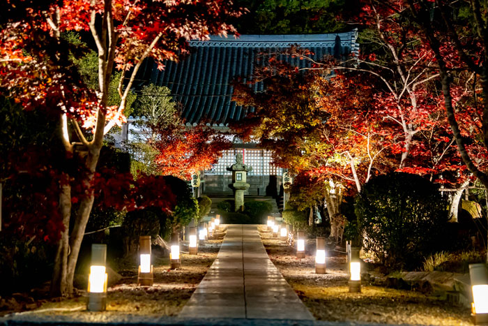 「大御堂観音寺ライトアップ」いい雰囲気の画像