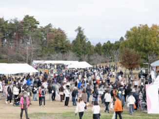 せいか祭りの会場の画像