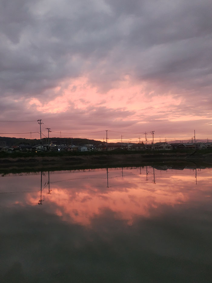 水面に映るピンク色の夕焼けの画像
