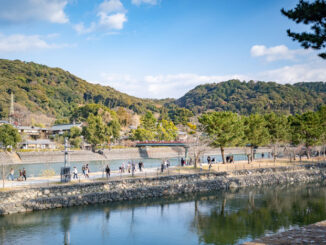 元旦、宇治川エリアの様子画像