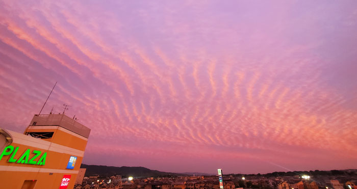 ピンク色の夕空の画像