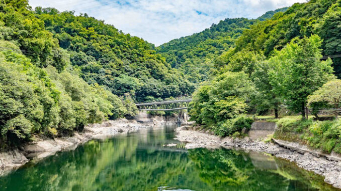 真夏のフォト散歩の画像