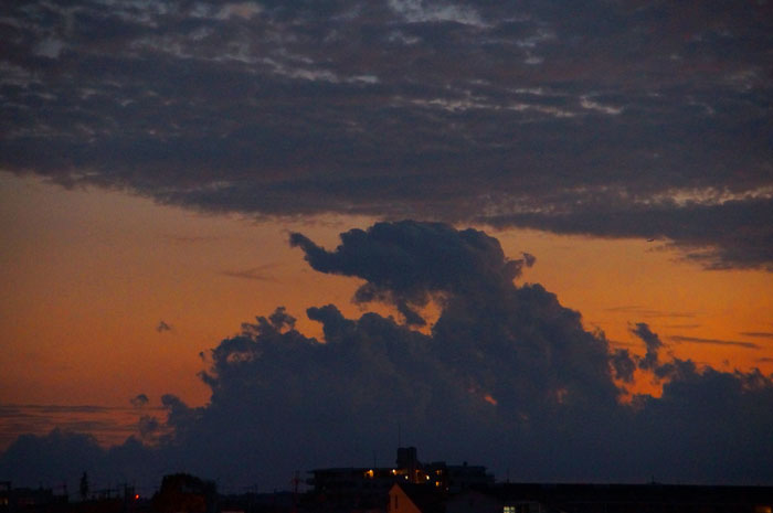 象さんみたいな雲の画像