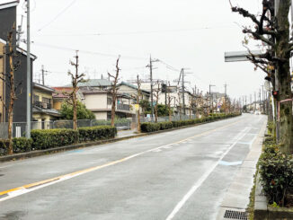 カムループス通りの画像