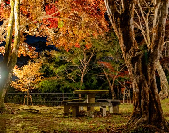 「笠置山もみじ公園」秋の画像