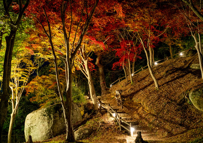 「笠置山もみじ公園」階段の画像