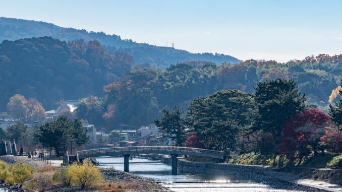 ２０２３年１２月の宇治川の画像