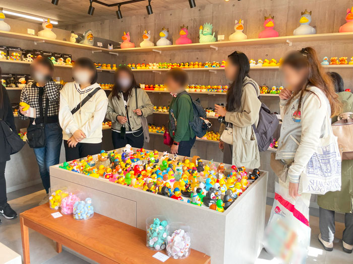 ラバーダック専門店「Ducks Kyoto Uji（ダックス 京都宇治）」店内画像