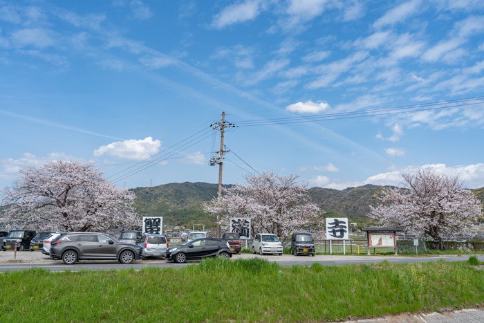 蟹満寺（京都府木津川市山城町綺田浜３６）の駐車場の近くにある桜トンネルの場所画像