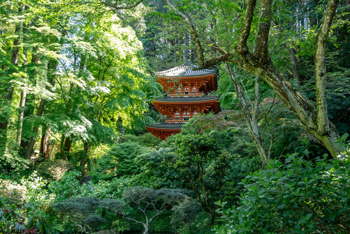 新緑が美しい「高雄山 岩船寺」の画像
