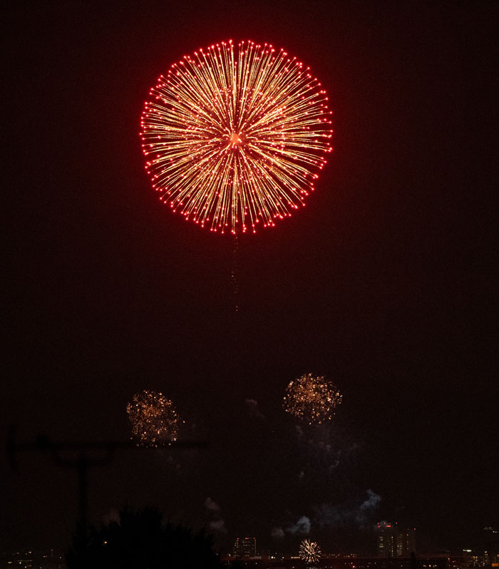 「京都芸術花火２０２４」の画像３