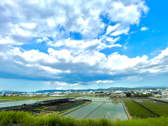 ６月１２日（水）の山城地域の画像