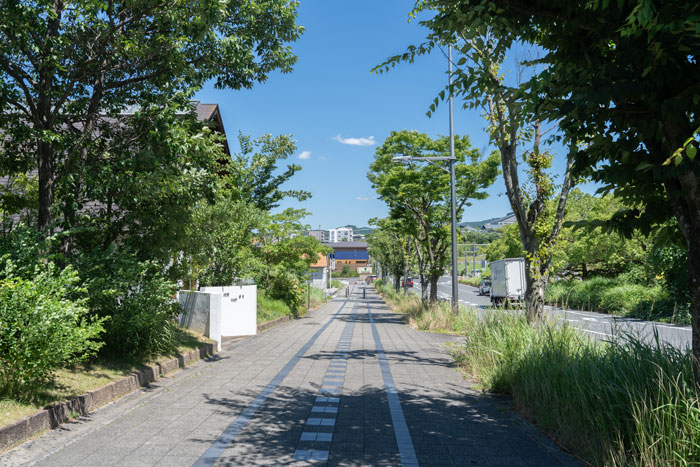 暑かった７月の画像