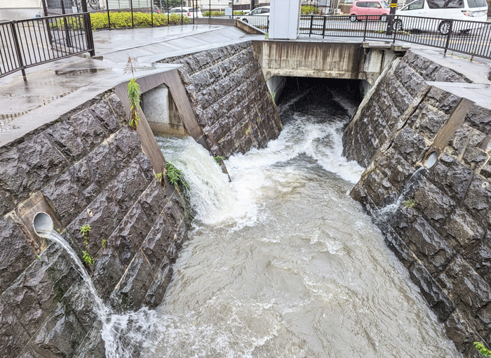 すごい雨だった６月２８日の画像