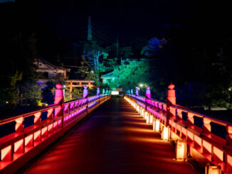 「京の七夕 in Uji」2024年の画像１