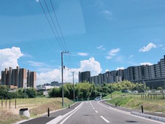 「ホームセンタームサシ 京都八幡店」裏の道路画像１