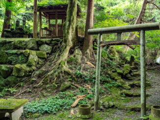 宇治田原に「青春（あおはる）神社」の画像１