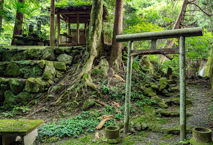 宇治田原に「青春（あおはる）神社」の画像１