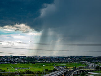 雨と晴れの境目の画像