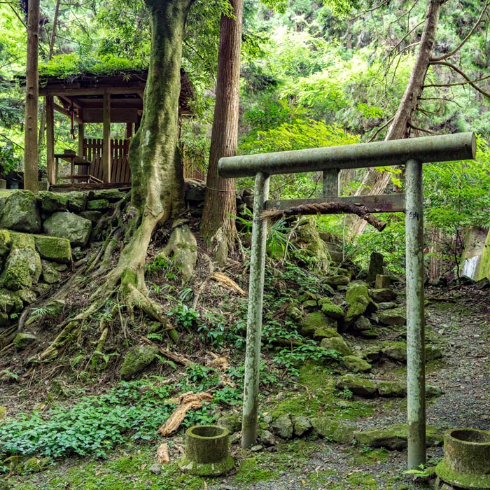 宇治田原に「青春（あおはる）神社」の画像５