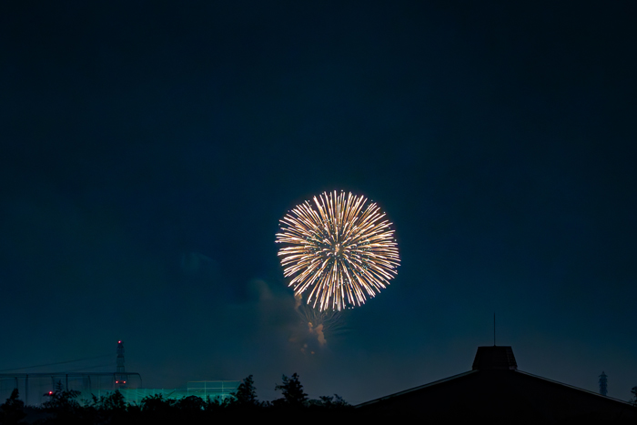 「第３回 水都くらわんか花火大会」花火の画像