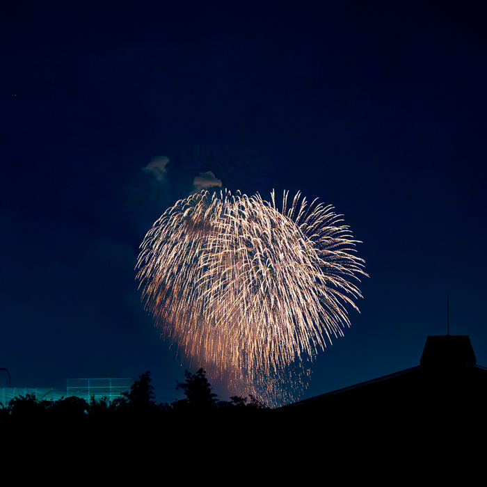 「第３回 水都くらわんか花火大会」花火のアップの画像