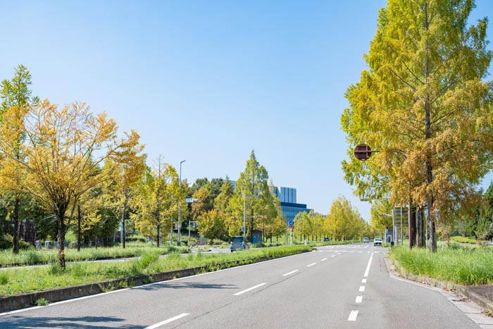 精華大通りの画像