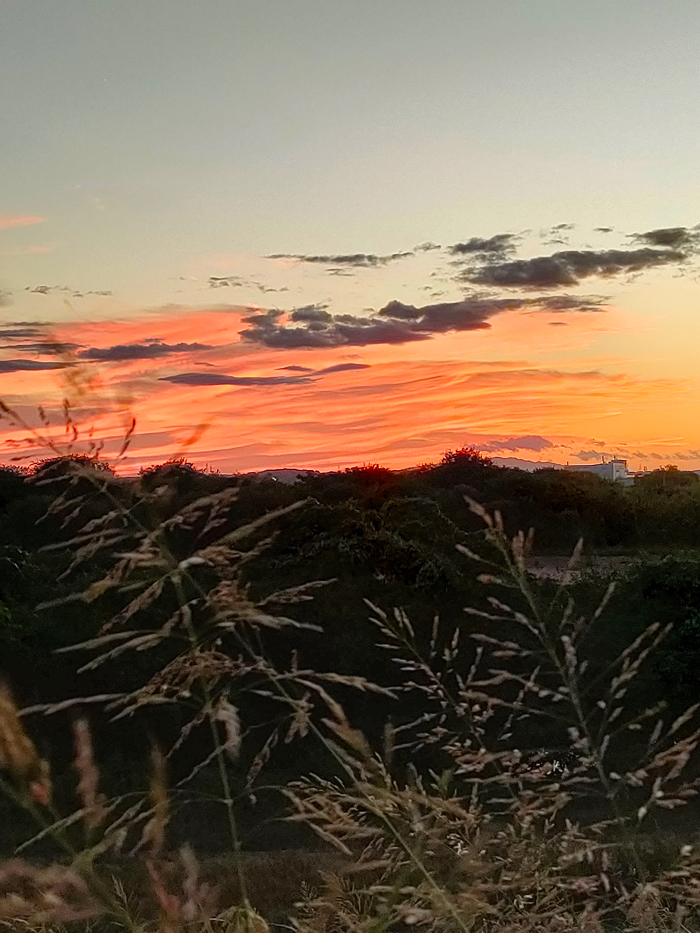 流れ橋上流の木津川堤防からの夕景の画像２