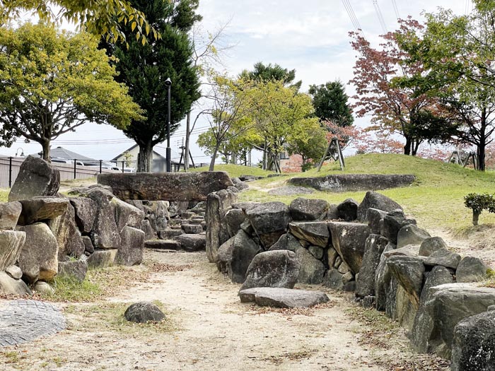 ふわふわ公園の画像３