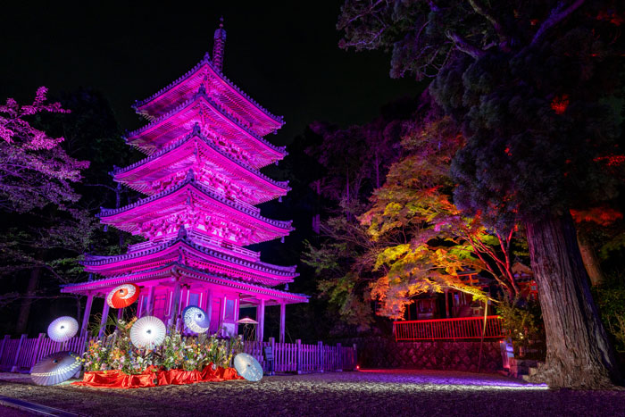 海住寺ライトアップ画像