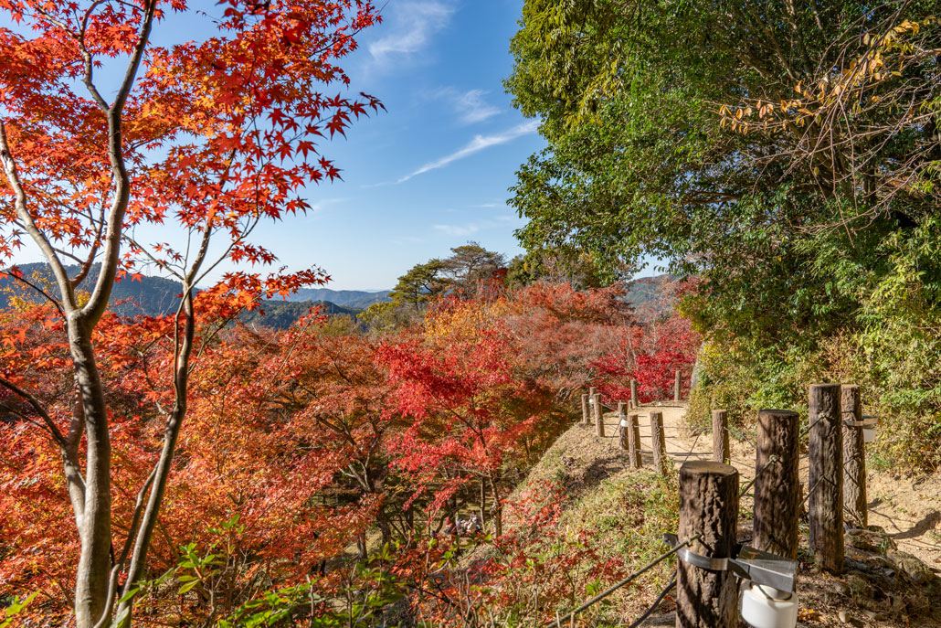 笠置寺の画像