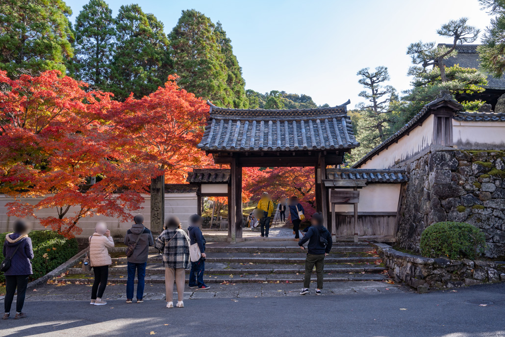 一休寺門前 2024年紅葉画像　