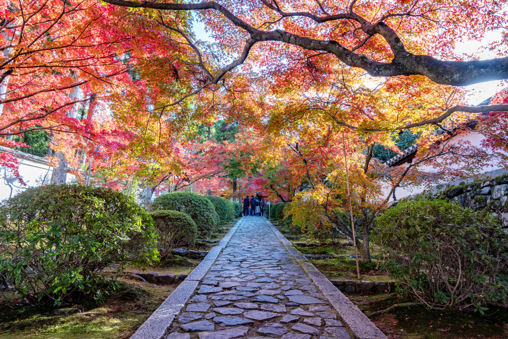 一休寺紅葉2024年　入り口の坂画像